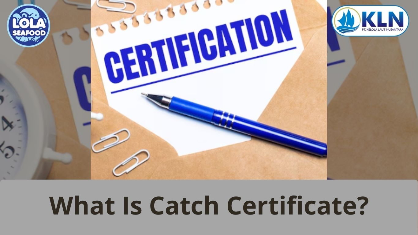What Is Catch Certificate?